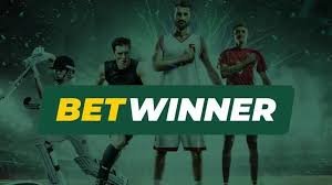 Exploring the BetWinner Betting Platform A Comprehensive Overview