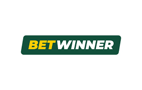 Exploring the BetWinner Betting Platform A Comprehensive Overview
